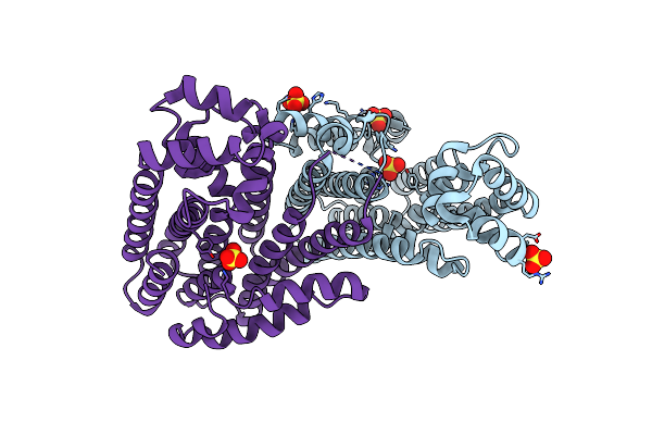 3N3D image