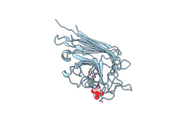 3N3H image