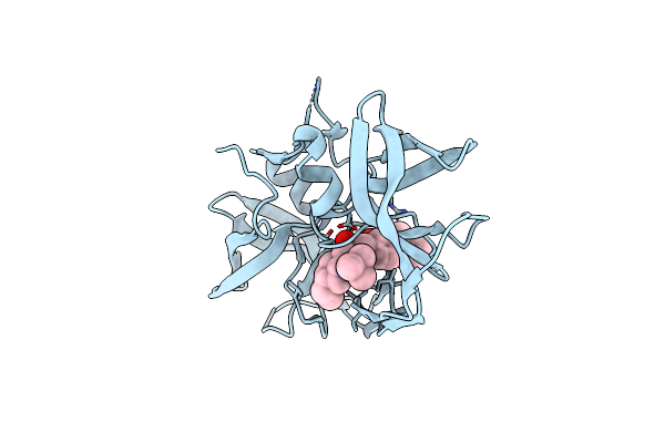 3N3I image