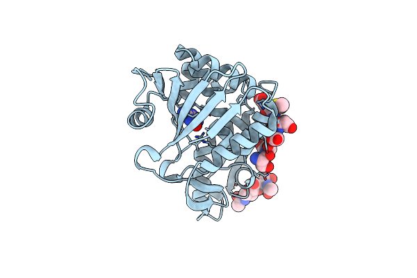 3N3X image
