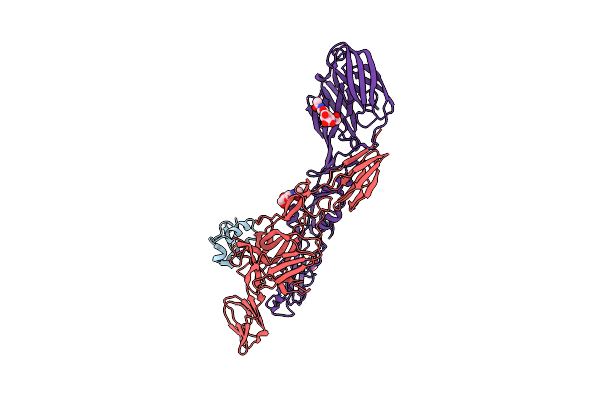 3N43 image