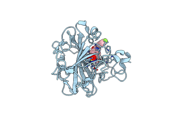 3N4B image