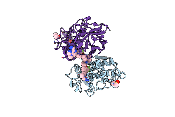 3N4C image