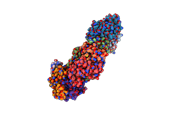3N4D image