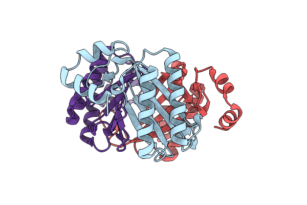 3N4G image
