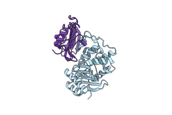 3N4I image