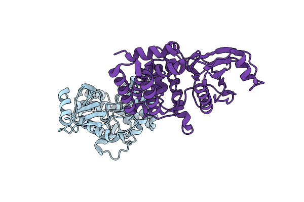 3N4V image