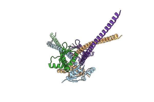 3N4X image