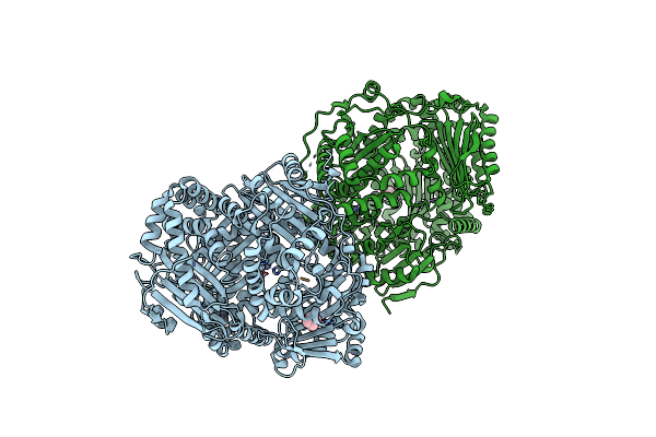 3N56 image