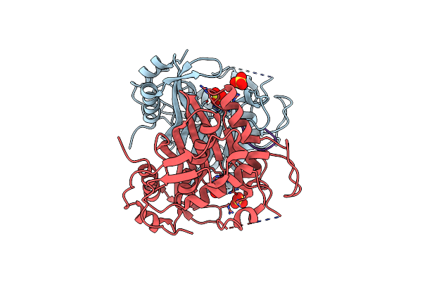 3N5E image