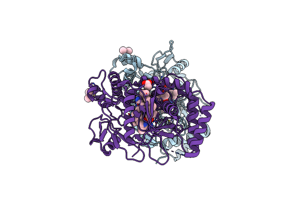 3N5T image