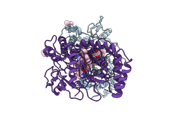 3N6B image