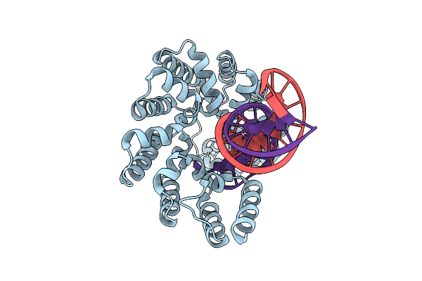 3N6S image