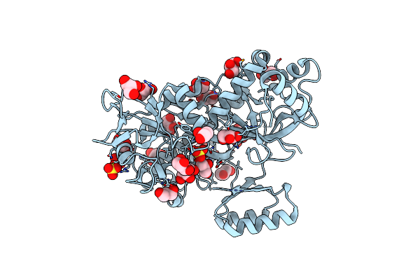3N6X image