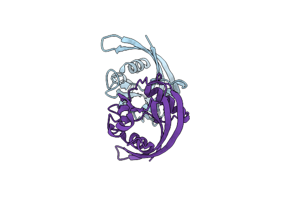 3N77 image