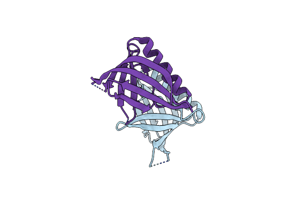 3N7C image