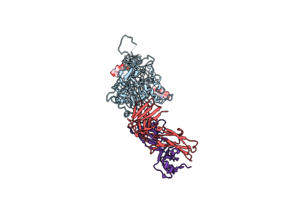 3N85 image