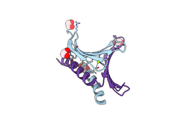 3N8B image
