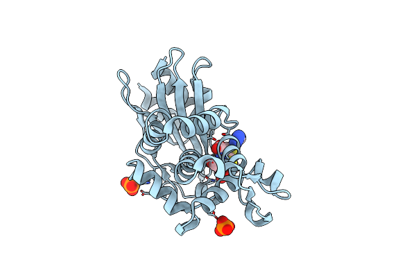 3N8S image