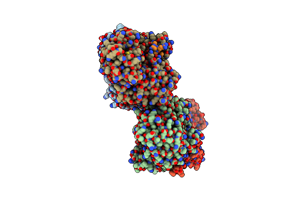 3N95 image