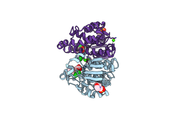 3N9J image