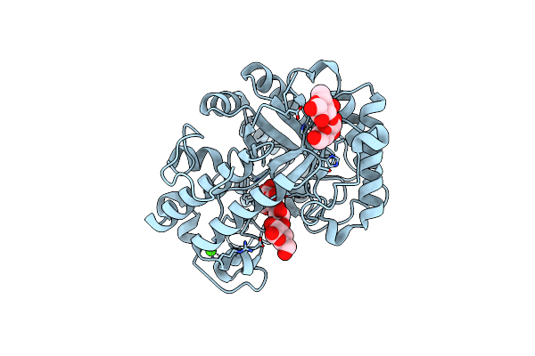 3N9K image