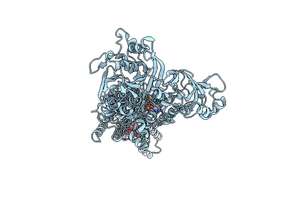 3NAM image