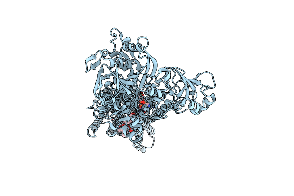 3NAN image