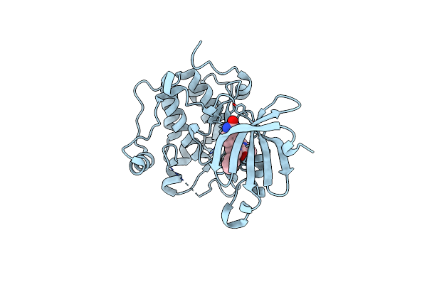 3NAX image