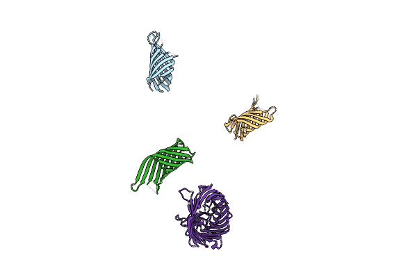 3NB3 image