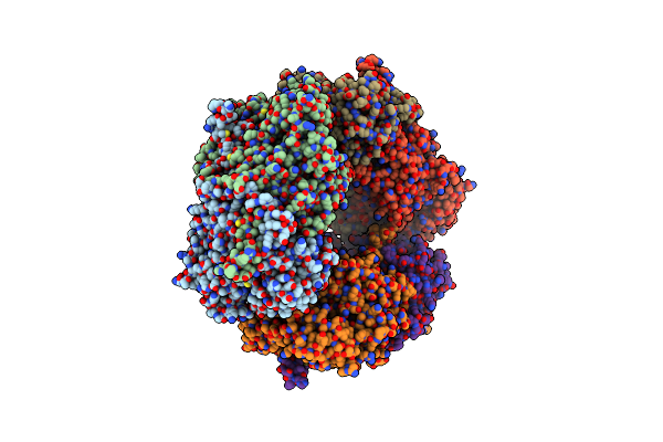 3NBB image