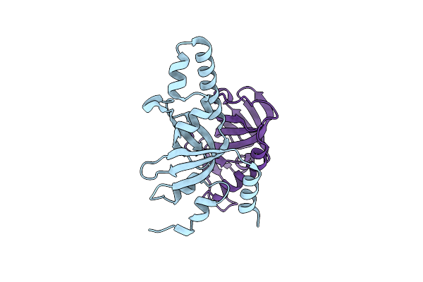3NBH image