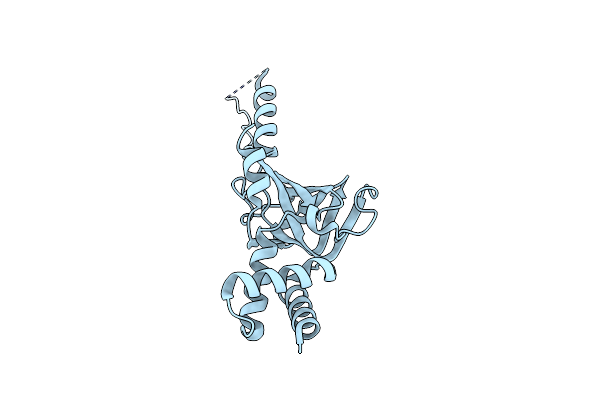 3NBI image