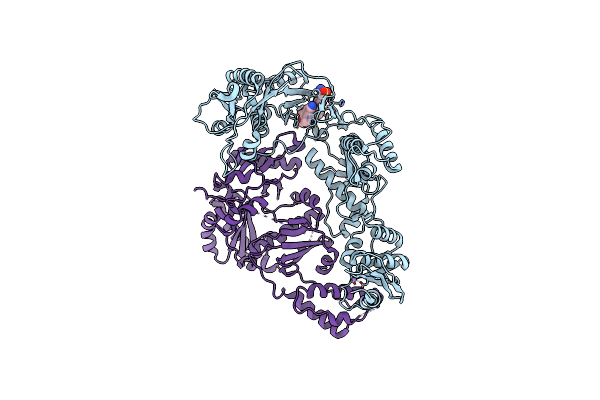 3NBP image