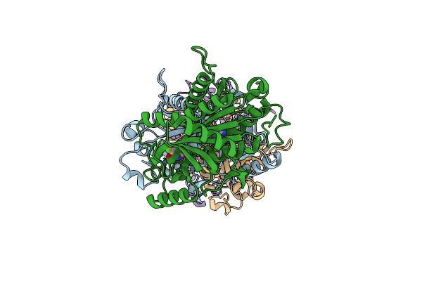 3NBQ image