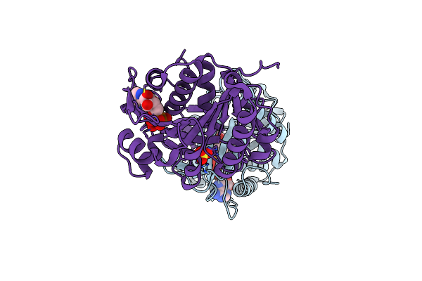 3NBV image