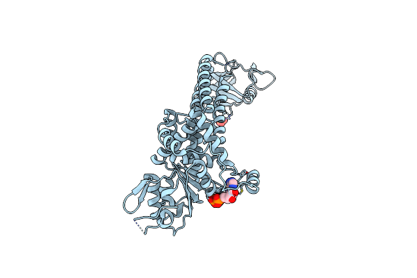 3NBX image