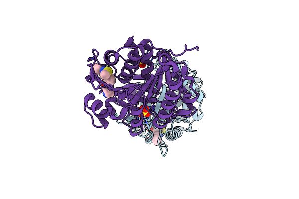 3NC9 image