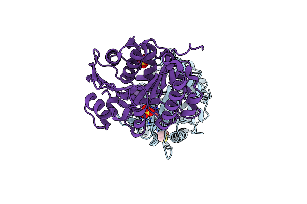 3NCA image
