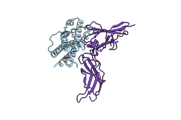 3NCB image