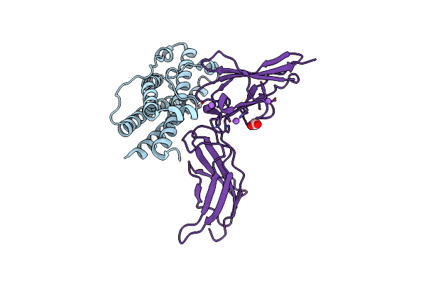 3NCC image