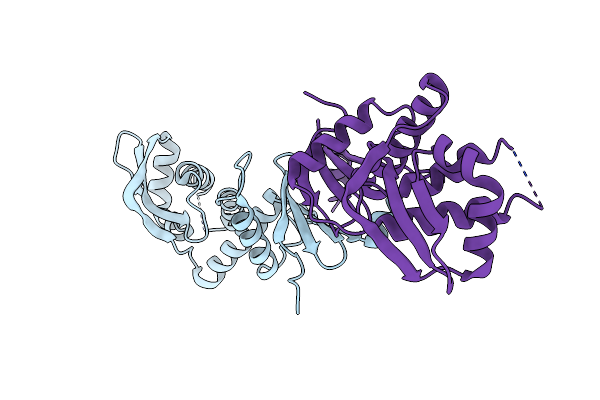 3NCV image
