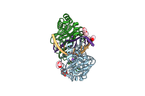 3NDH image