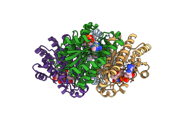3NDR image