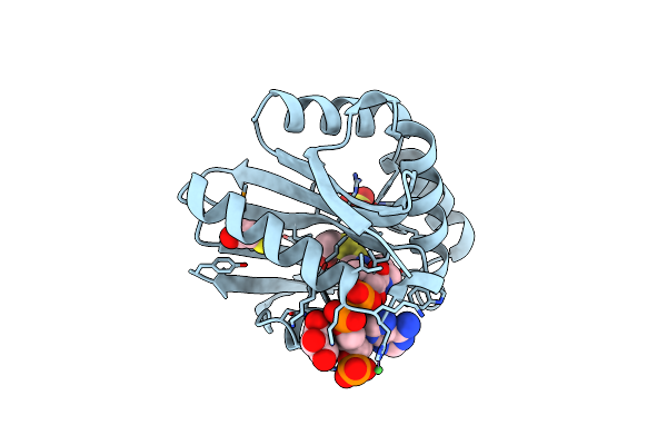 3NE7 image