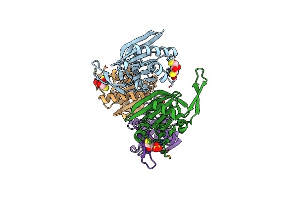 3NEC image