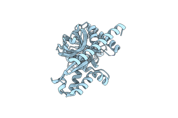 3NEP image