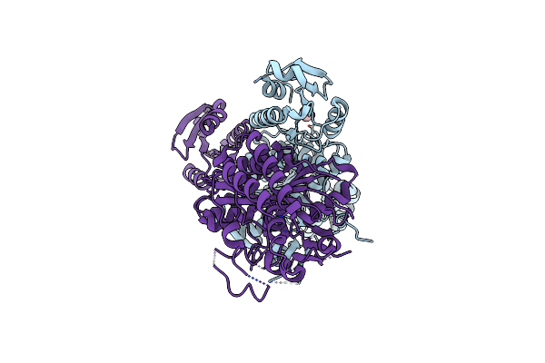 3NET image