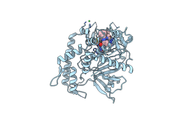 3NF3 image