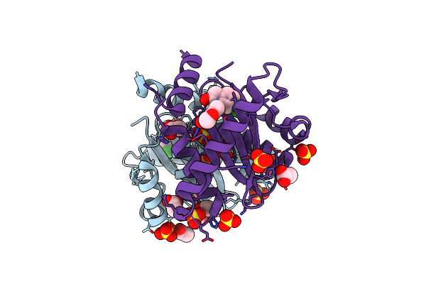 3NF9 image